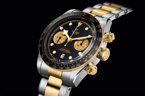 tudor wat|tudor black bay watch.